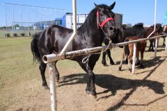 IMG_4442_1024x683