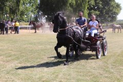 IMG_4503_1024x683