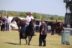 IMG_4512_1024x683