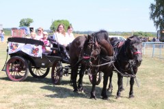 IMG_4546_1024x683