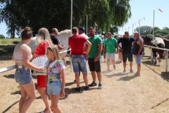 IMG_4639_1024x683