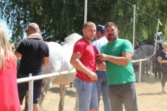 IMG_4642_1024x683