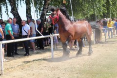 IMG_4794_1024x683