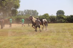 IMG_4824_1024x683