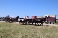 IMG_4831_1024x683