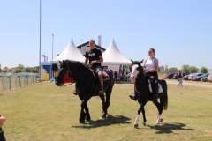 IMG_4833_1024x683