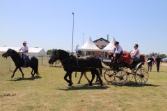 IMG_4836_1024x683