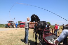 IMG_4844_1024x683