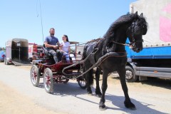IMG_4939_1024x683