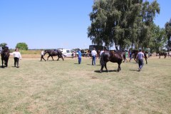 IMG_4961_1024x683