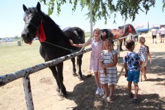 IMG_5012_1024x683