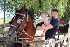 IMG_5051_1024x683