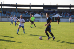 IMG_3810_1024x683