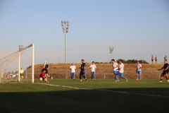 IMG_4081_1024x683