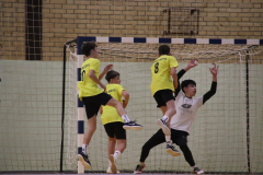 IMG_3136_1024x683