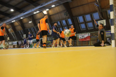 IMG_3181_1024x683