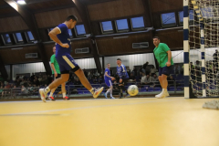 IMG_3339_1024x683