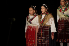IMG_8354