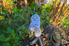 172f612c-90cc-48c9-9029-52a7b2a1cb36