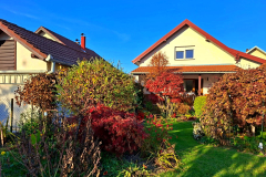 26991bce-e4ec-4b6d-a6e7-a2759de84fce