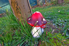 30b89c68-d58d-4dfe-b699-5d7909c3b1dc