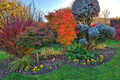 70385aca-1b8e-4c92-b4df-7afb55218ea8