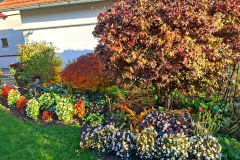 7fed5c69-6415-4968-860e-f5b6048f833b