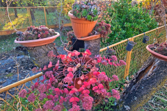 992003c4-b384-4052-9452-500ea02b886e