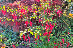 a0da3dc0-bd22-44ef-bd9e-cf11e3e43539