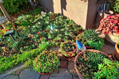 c27cfc7c-4704-49c4-b715-79a85308ef96