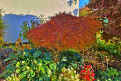 dd1c6c09-7584-4ef2-bfaa-bdec640796a6