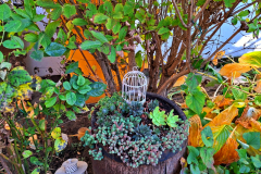 e34aa85d-36e2-4fc0-bd7e-19ce265a6046