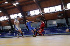 IMG_7617_1024x683