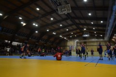 DSC_0241_1024x683