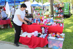 IMG_0121_1024x683