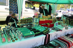 IMG_0213_1024x683