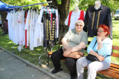 IMG_0234_1024x683