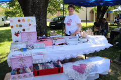 IMG_0254_1024x683