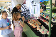 IMG_0325_1024x683