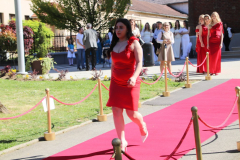 IMG_0489_1024x683