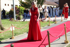 IMG_0496_1024x683