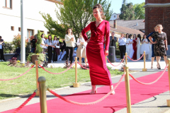 IMG_0582_1024x683