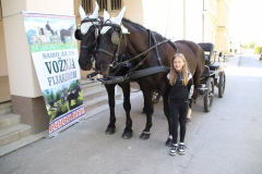 IMG_0217_1024x683