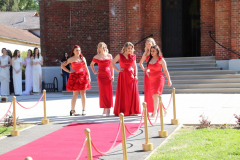 IMG_0510_1024x683