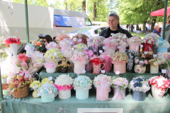 IMG_9559_1024x683