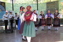 IMG_9918_1024x683