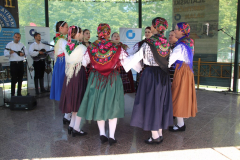 IMG_9943_1024x683