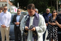 IMG_0031_1024x683