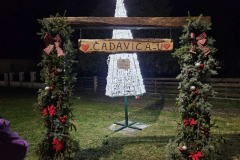 viber_slika_2025-11-30_12-54-20-426_1020x768