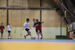 IMG_2044_1024x683
